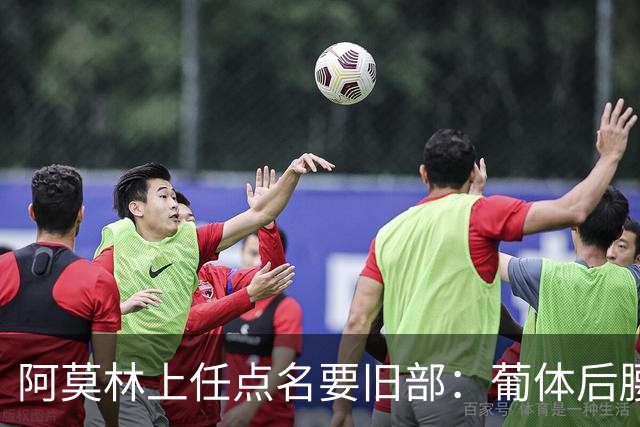 阿莫林上任点名要旧部：葡体后腰卖4500万，曼联放弃之人想转会
